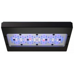 ECOTECH Radion XR30 G6 Blau - LED-Beleuchtung