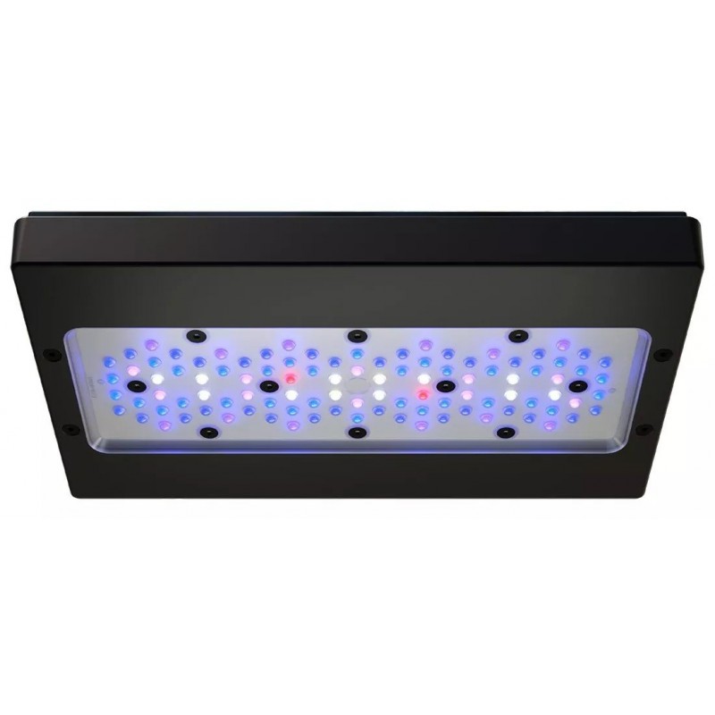 ECOTECH Radion XR30 G6 Blau - LED-Beleuchtung