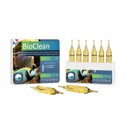 PRODIBIO BioClean 6 Ampullen – Bakterien für das Aquarium