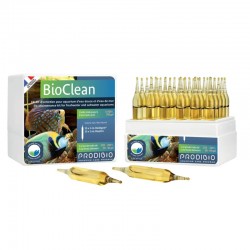 PRODIBIO BioClean 30 Ampullen – Bakterien für das Aquarium