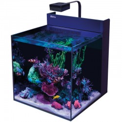 RED SEA MAX G2 XL- Aquarium 127 Liter