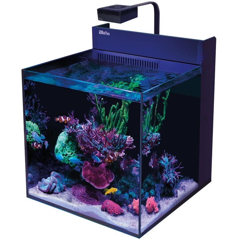 RED SEA MAX G2 XL- Aquarium 127 litres