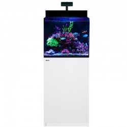 RED SEA MAX G2 XL- Aquarium 127 Liter