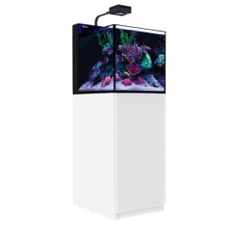 RED SEA MAX G2 XL- Aquarium 127 litres