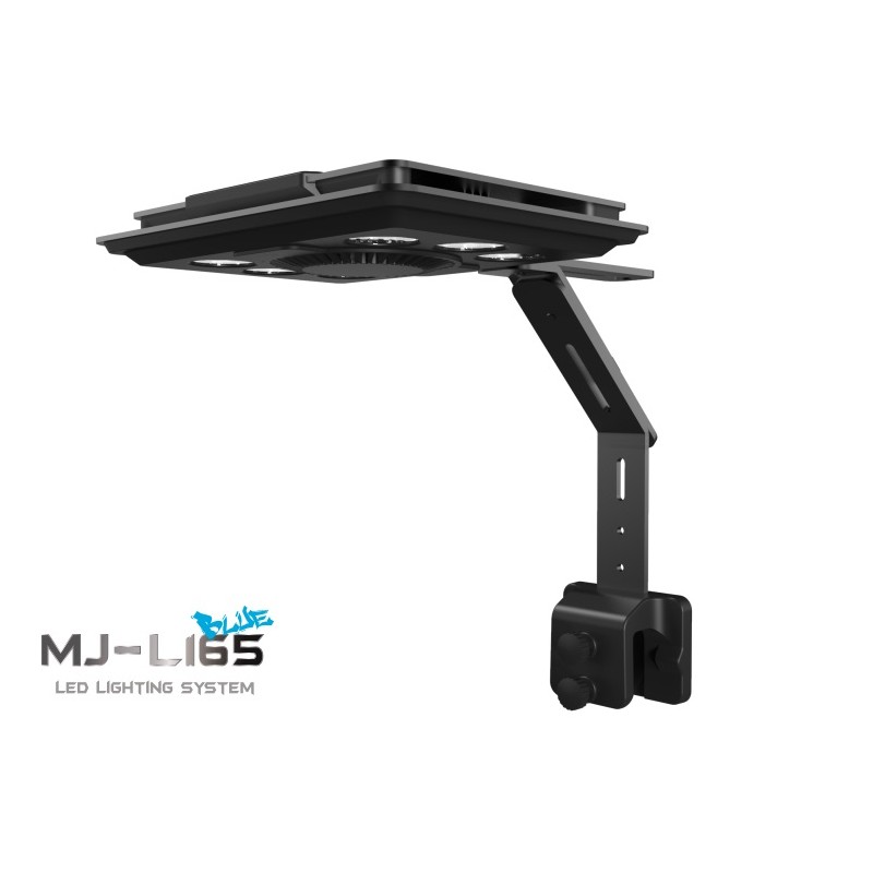 MAXSPECT Jump LED 65 W Blue