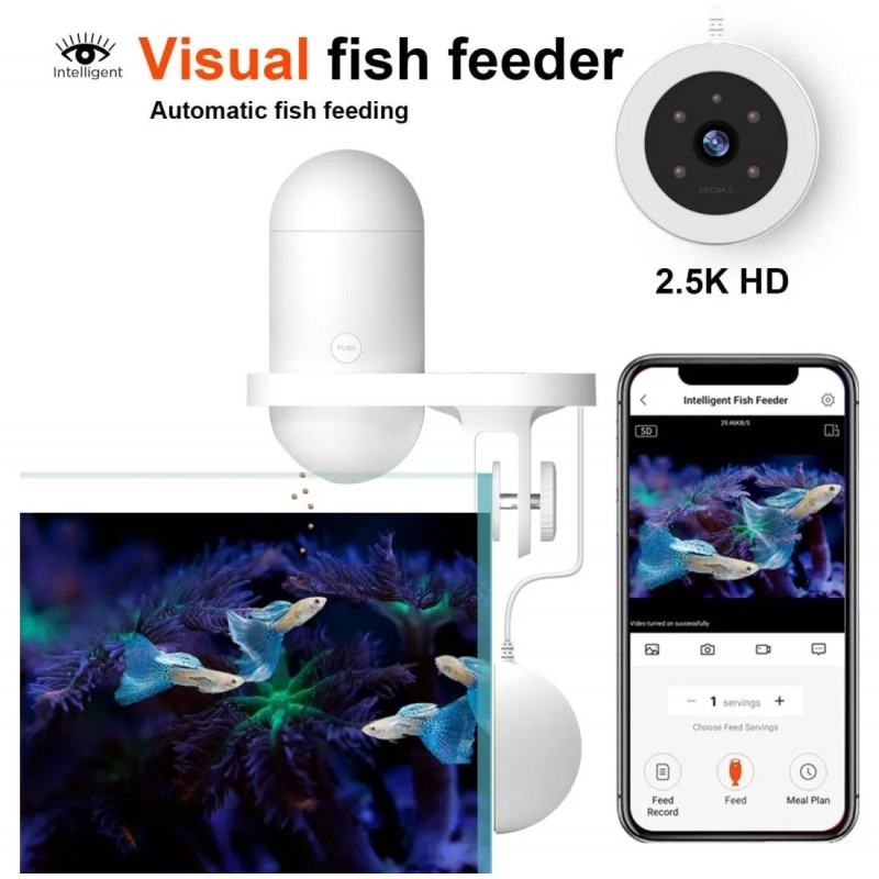 Visual Fish Feeder