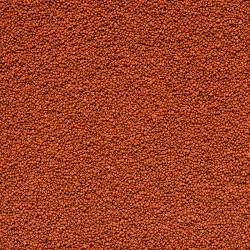 AQUAFOREST AF Tiny Fish Feed 120 g- Fischfutter