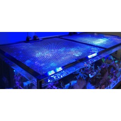 D-D JumpGuard Aquarium Cover 75 x 75 cm- Schutznetze