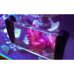 MAXSPECT Fragnifer – Aquarium-Magnet