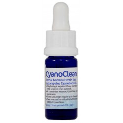 KORALLEN-ZUCHT Cyano Clean 10 ml – Anti-Cyanobakterien-Behandlung