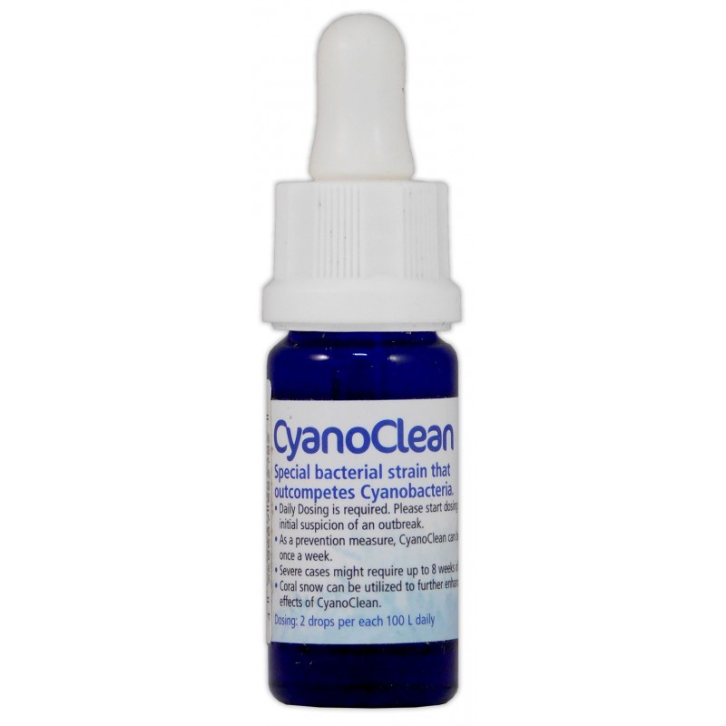 KORALLEN-ZUCHT Cyano Clean 10 ml – Anti-Cyanobakterien-Behandlung