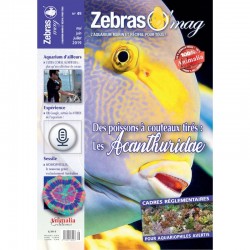 ZebrasO'mag Nr. 49