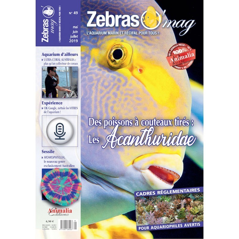 ZebrasO'mag Nr. 49