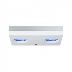 AQUA ILLUMINATION Hydra 32 HD- Blanche- Rampe LED