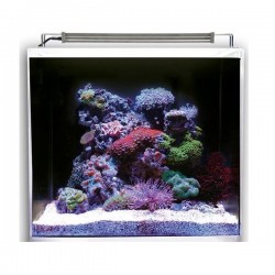 DUPLA MARIN Nano Ocean Cube Set 80 - Nano Aquarium Marine