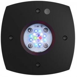 AQUA ILLUMINATION Hydra Prime 16 HD 59 W- Schwarz- LED-Leiste