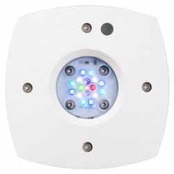 AQUA ILLUMINATION Hydra Prime 16 HD 59 W- Blanche