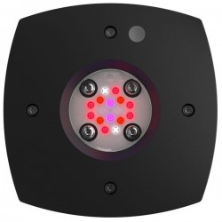 AQUA ILLUMINATION Prime Fuge 46 W- Noire- Rampe LED