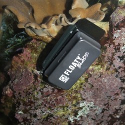 JBL Floaty Blade L – Aquarium-Magnet