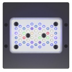 ECOTECH MARINE Radion XR15 G5 Pro - LED-Rampe für Aquarien