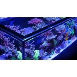 RED SEA REEFER-S 850 G2 - Weiß