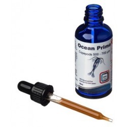 DVH Ocean Prime Copepods Liquid 500–700 Mikron – Fisch- und Korallenfutter