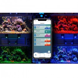 KESSIL LED A500X - LED für Aquarien