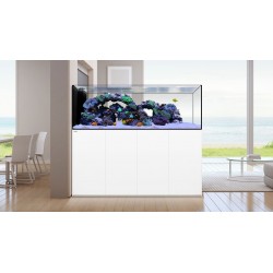 WATERBOX Peninsula 4820 Weiß - Aquarium 301 L