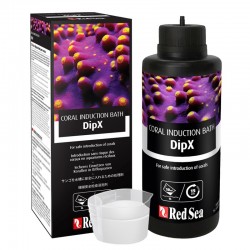 RED SEA DipX 250 ml- Korallenbehandlung