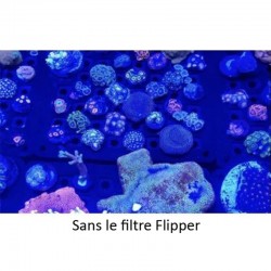 FLIPPER Flip-Kick – Fotofilter für Smartphone und Tablet