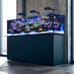 RED SEA REEFER Deluxe XL 525 G2+ - Schwarz