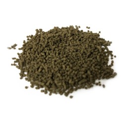 VITALIS Algenpellets 1 mm 70 gr - Futter in Pellets