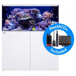 RED SEA REEFER XL 425 G2- Blanc