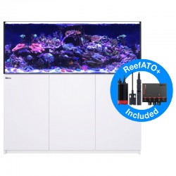 RED SEA REEFER XXL 625- Weiß