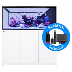 RED SEA REEFER Peninsula 700G2+- Weiß