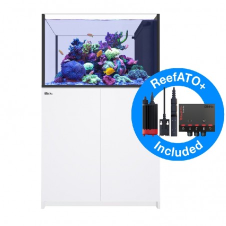 RED SEA REEFER Deluxe Peninsula 350 G2+ - Schwarz