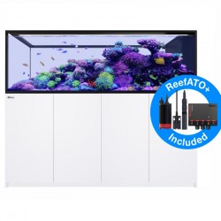 RED SEA REEFER Peninsula 950 G2+ - Weiß