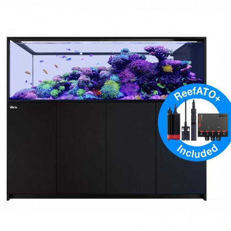 RED SEA REEFER Peninsula 950 G2+ - Weiß