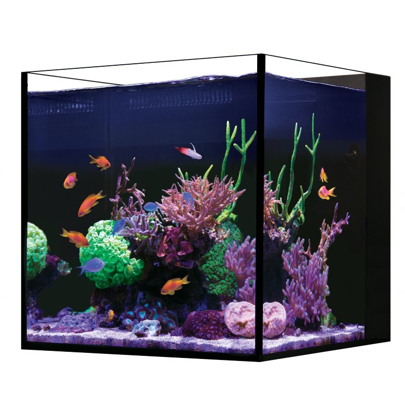 RED SEA Desktop Cube- Voll ausgestattetes Nano-Aquarium