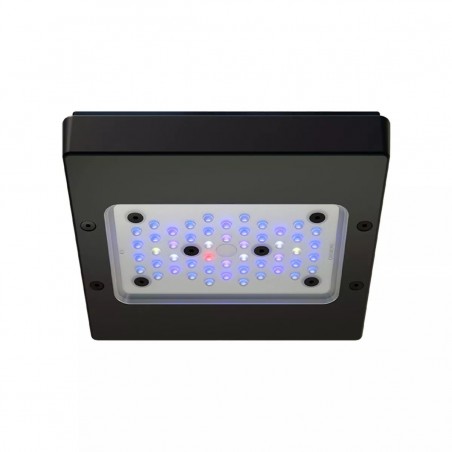 ECOTECH Radion XR15 G6 Blau - LED-Beleuchtung