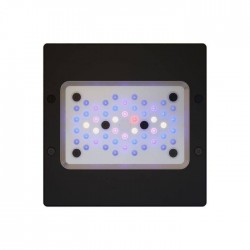 ECOTECH Radion XR15 G6 Blau - LED-Beleuchtung