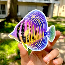 LAZY COFFEE DESIGN Aufkleber „Rainbow Sailfin Tang“ – Autocollant