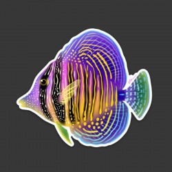 LAZY COFFEE DESIGN Aufkleber „Rainbow Sailfin Tang“ – Autocollant