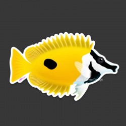 LAZY COFFEE DESIGN Aufkleber „Foxface Fish“ – Autocollant