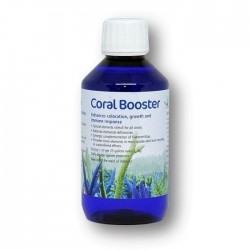 KORALLEN-ZUCHT Coral Booster 250 ml – Nahrungsergänzungsmittel für Korallen