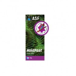 AQUARIUM SYSTEM HoldFast Stick Colle Epoxy Violette- Colle pour aquarium