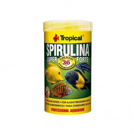 TROPICAL Spirulina Forte 250ML – Futter für pflanzenfressende Fische